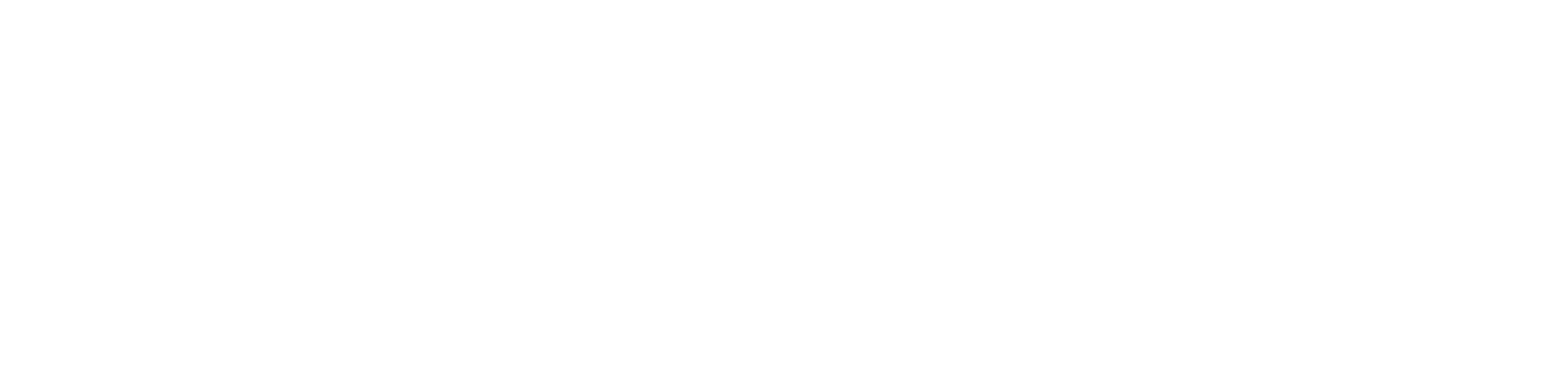 Logo Footer